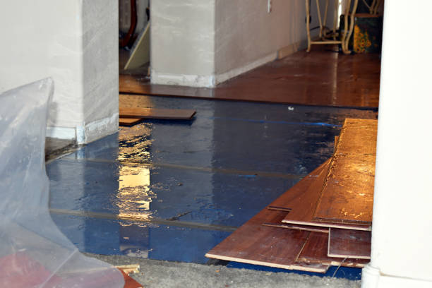 Professional Sewage Cleanup technician working in Linwood, MA